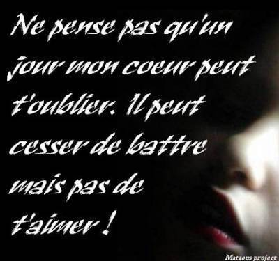 simoi02.vip-blog.com@hotmail.fr