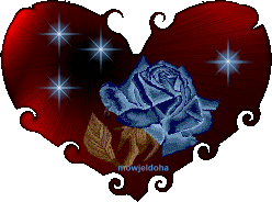 wawflor.vip-blog.com@hotmail.fr