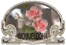 wawflor.vip-blog.com@hotmail.fr
